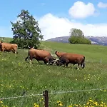 Graslandhof Lantgård Neumarkt in Steiermark