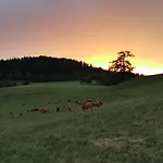Farm stay Graslandhof