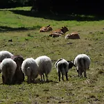 Graslandhof Farmház